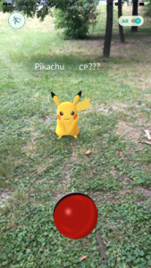catch_pikachu_4